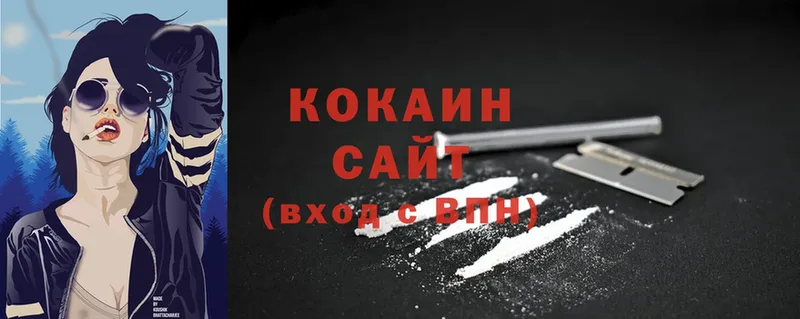 COCAIN FishScale  купить наркоту  Котлас 